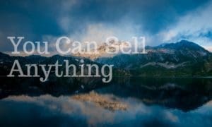 You Can Sell Anything - Icon Innovations